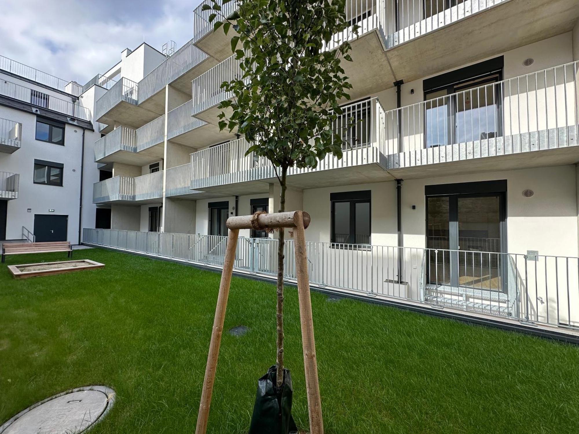 Schoenbrunn Garden Apartments Вена Экстерьер фото